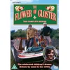 Image de The Flower of Gloster [DVD]