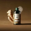 Image de The Body Shop Shampooing au gingembre - 400 ml