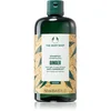 Image de The Body Shop Ginger Shampoo shampoing antipelliculaire 250 ml