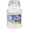 Image de Yankee Candle bougie parfumée Jasmin de minuit | Grande bougie jarre longue durée | | jusqu’à 150 heures de combustion |Cadeaux de la fête des mères