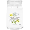 Image de YANKEE CANDLE - Midnight Jasmine Bougies 567 g unisex