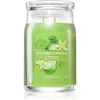 Image de Yankee Candle Vanilla Lime bougie parfumée Signature 567 g
