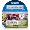 Image de Yankee Candle Lilac Blossoms tartelette en cire 22 g