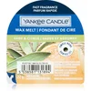 Image de Yankee Candle Sage & Citrus tartelette en cire 22 g