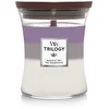 Image de WoodWick - Trilogy AMETHYST SKY Bougies 411 g unisex