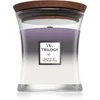 Image de Woodwick Trilogy Amethyst Sky bougie parfumée avec mèche en bois 275 g