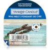 Image de Yankee Candle Amber & Sandalwood tartelette en cire 22 g