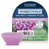 Image de YANKEE CANDLE - Wax Melt Bougies 61 g unisex
