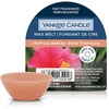 Image de YANKEE CANDLE - Fondants Brise Tropicale Bougies 22 g unisex