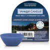 Image de YANKEE CANDLE - Wax Melt Bougies 61 g unisex