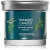 Image de Yankee Candle Bayside Cedar bougie parfumée I. 122 g