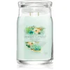 Image de Yankee Candle Aloe & Agave bougie parfumée 567 g