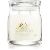 Image de Yankee Candle Sweet Vanilla Horchata bougie parfumée 368 g