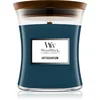 Image de Woodwick Antiquarium bougie parfumée 275 g