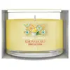 Image de YANKEE CANDLE - SIGNATURE SINGLE VOTIVE EN VERRE SORBET AU CITRON Bougies 37 g unisex