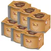 Image de Yankee Candle Lot de 6 bougies parfumées citrouille et épices (6 pots de 37 g)