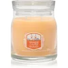 Image de Yankee Candle Slopeside Spritz bougie parfumée Signature 368 g