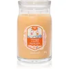 Image de Yankee Candle Slopeside Spritz bougie parfumée Signature 567 g