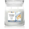 Image de Yankee Candle Silver Birch bougie parfumée 368 g