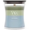 Image de WoodWick Bougie parfumée | Bougie sablier moyenne | Forêt verdoyante | Cadeaux parfaits pour femmes