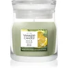 Image de Yankee Candle Sage & Citrus bougie parfumée Signature 110 g