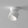 Image de astro Lynx Projecteur LED, 1403007,