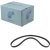 Image de Blue Print ADC47552 Courroie de distribution