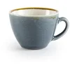Image de Olympia Tasse couleur océan Kiln, 340 ml/12 oz (lot de 6), Compatible avec les soucoupes : GP333 GP349 GP365 GP481, GP348