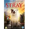 Image de The Stray [Region 2]