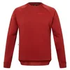Image de Endura Maillot de Cyclisme pour Homme en Polaire, Brique, Taille XL