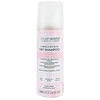 Image de Brushworks - Shampoing sec Fraicheur Vitalité Format Voyage 50ml 1 ml unisex