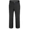 Image de Dare2b Homme Ream Waterproof Ski Pants, Noir, S EU