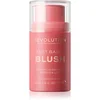 Image de Revolution Fast Base stick bicolore lèvres et joues teinte Baby 14 g