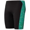 Image de Speedo HyperBoom Panel Brouilleur de Natation pour Homme, Black/Turquoise Gem, 36