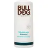 Image de Bulldog Déodorant Menthe & Eucalyptus
