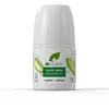 Image de - Déodorant à bille bio à l’aloe vera 50 ml -
