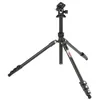 Image de 3 Legged Thing Patti 2.0 Flip Lock Trépied avec AirHed Mini Noir mat