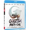 Image de Godzilla Minus One [Blu-ray]