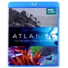 Image de Atlantic: Wildest Ocean on Earth [Edizione: Regno Unito] [Blu-Ray] [Import]