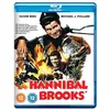 Image de Hannibal Brooks [Blu-ray]