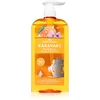 Image de PAPOUTSANIS Karavaki Shine & Vitality shampoing pour des cheveux brillants et doux 600 ml