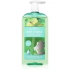 Image de PAPOUTSANIS Karavaki Control & Detox shampoing pour cuir chevelu sec à gras 600 ml