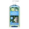 Image de PAPOUTSANIS Karavaki Tonic & Strength shampoing pour cheveux 600 ml