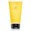 Image de Apivita Frequent Use Gentle Daily Conditioner après-shampoing usage quotidien au camomille 150 ml