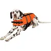 Image de Flamingo Gilet de Sauvetage pour Chien 35 cm/10 - 25 kg Taille M