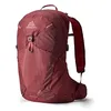 Image de Gregory BioSync   Maya 20   Sac à dos de randonnée femme, 49 cm, 20 L, 0,86 kg, sac à dos de jour avec dos ajustable, panneau dorsal respirant, compatible système d’hydratation, Rouge (Iris Red)