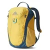 Image de Gregory Wander 8 - Sac à dos pour enfant, 36 cm, 8 L, 0.30 KG, Jaune (Aqua Yellow)