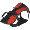 Image de Harnais Kelso Rouge S 30-46CM 15MM