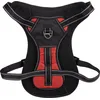Image de Harnais Kelso Rouge XL 54-84CM 25MM