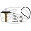 Image de GATES TH62884G1 Thermostat d'eau avec joints 84°C Compatible avec PEUGEOT 307 3/5 portes 3A/C 407 Berline 6D 407 SW 6E 307 SW 3H, CITROËN C4 I 3/5 portes LC